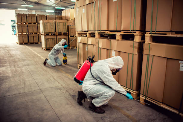 Best Termite Control Services  in Gamewell, NC