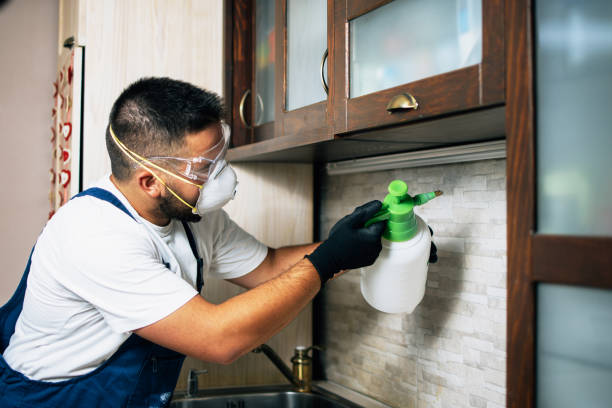Best Affordable Pest Control Services  in Gamewell, NC