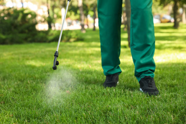 Best Exterminator Services  in Gamewell, NC