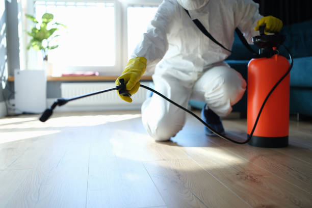 Best Flea Control Services  in Gamewell, NC