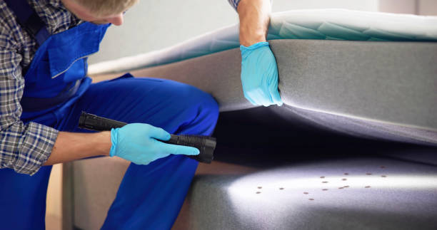 Best Exterminator Services  in Gamewell, NC