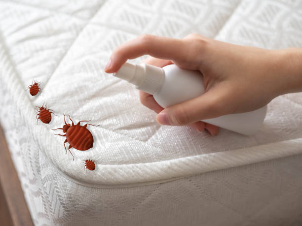 Best Best Pest Control Companies  in Gamewell, NC
